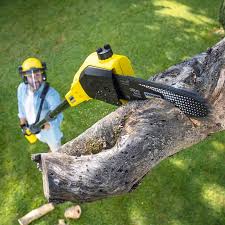 Best Emergency Tree Removal  in Belmont Estates, VA